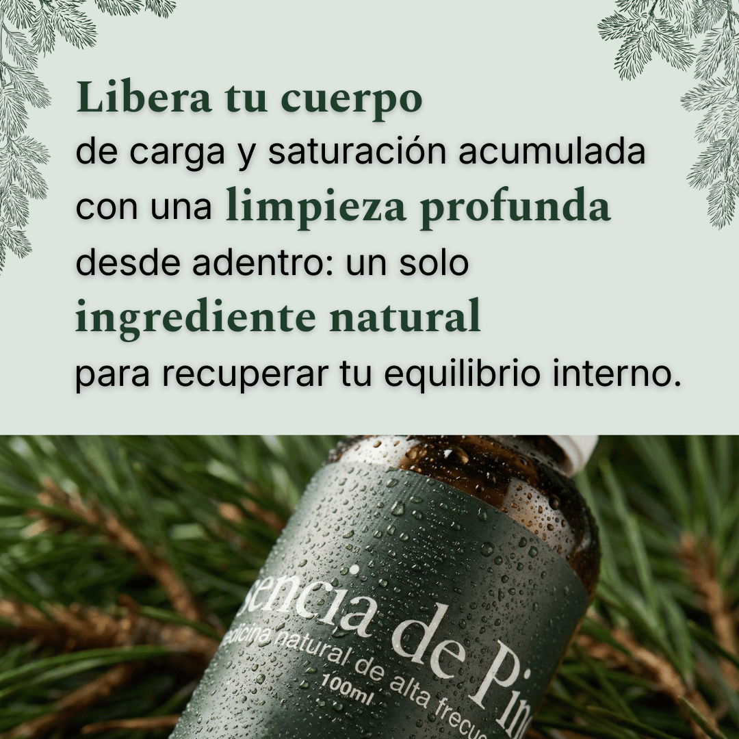 Esencia de Pino
