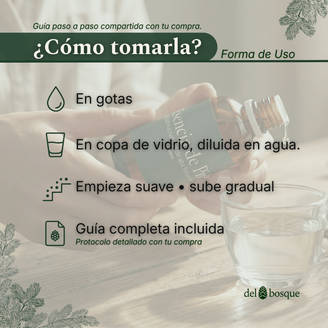 Cómo tomar la Esencia de Pino: en gotas, en copa de vidrio, vía oral sublingual o diluida, con guía de uso incluida.
