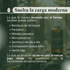 Depuración de carga moderna: mención de fármacos, metales pesados, microplásticos y químicos del día a día con Esencia de Pino.