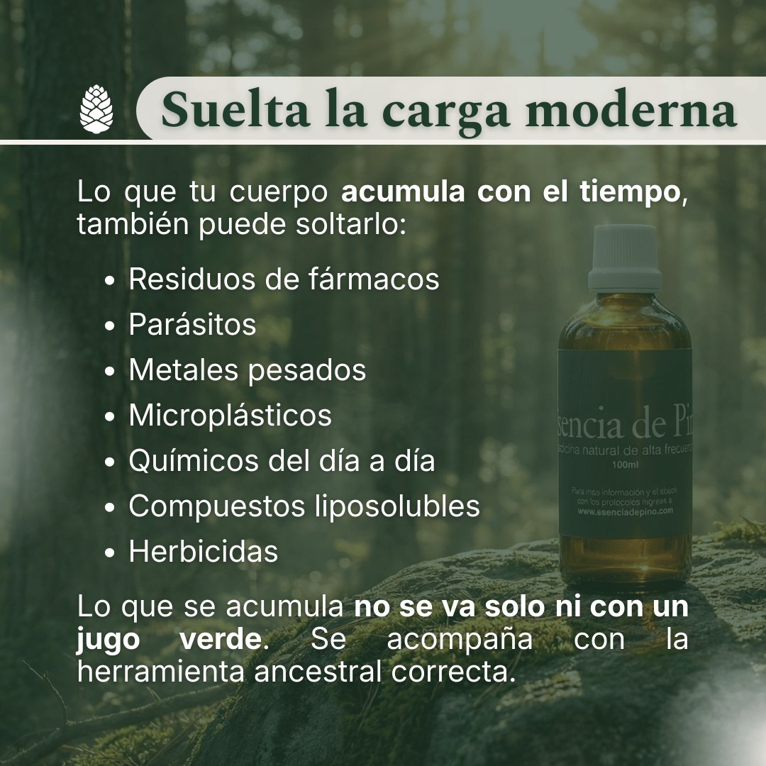 Depuración de carga moderna: mención de fármacos, metales pesados, microplásticos y químicos del día a día con Esencia de Pino.